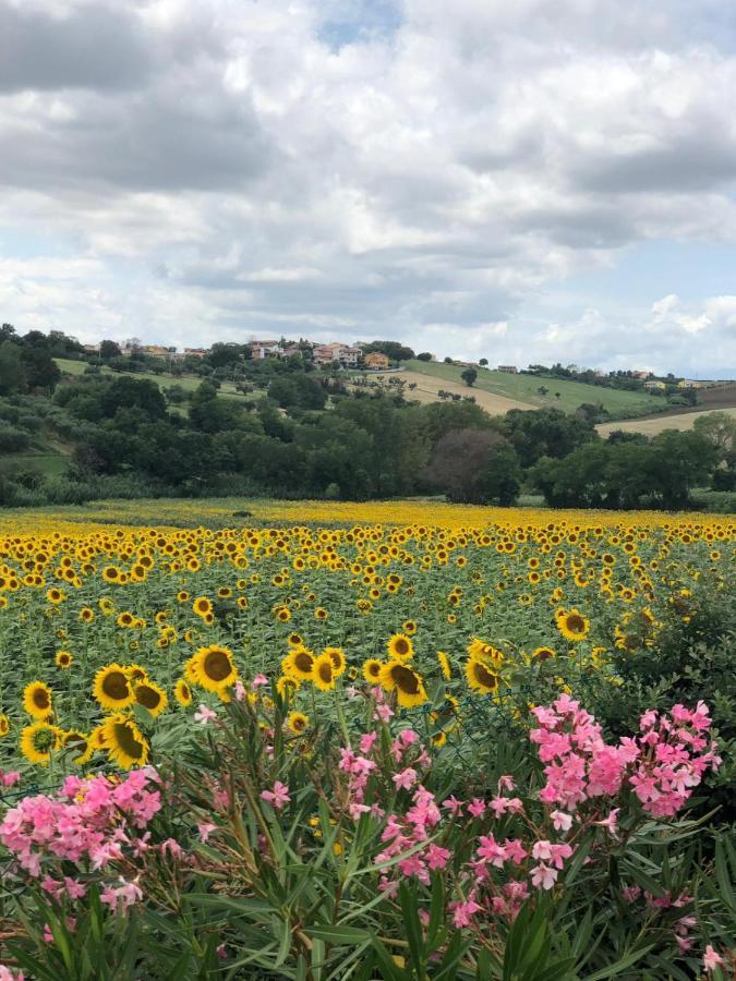 Fontebella Bed & Breakfast Montemarciano Dış mekan fotoğraf
