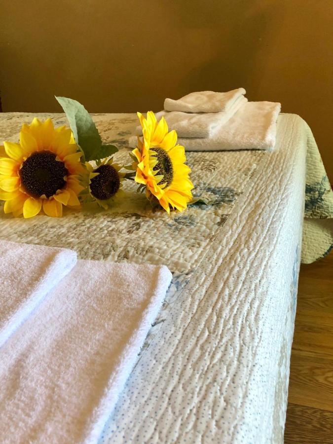 Fontebella Bed & Breakfast Montemarciano Dış mekan fotoğraf