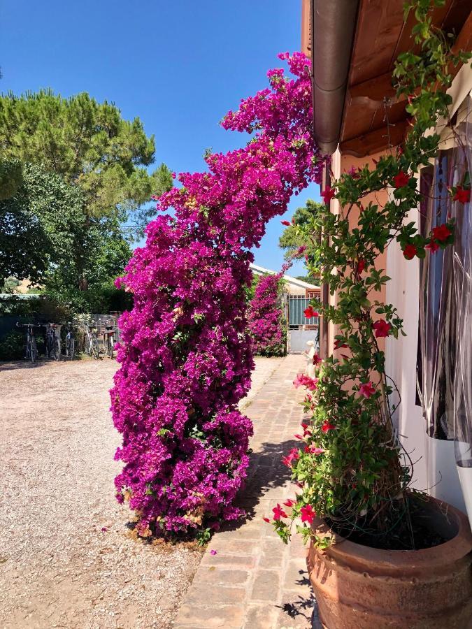 Fontebella Bed & Breakfast Montemarciano Dış mekan fotoğraf