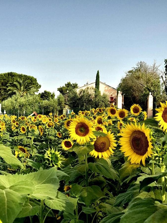 Fontebella Bed & Breakfast Montemarciano Dış mekan fotoğraf