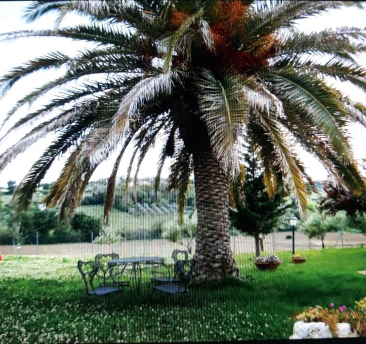 Fontebella Bed & Breakfast Montemarciano Dış mekan fotoğraf