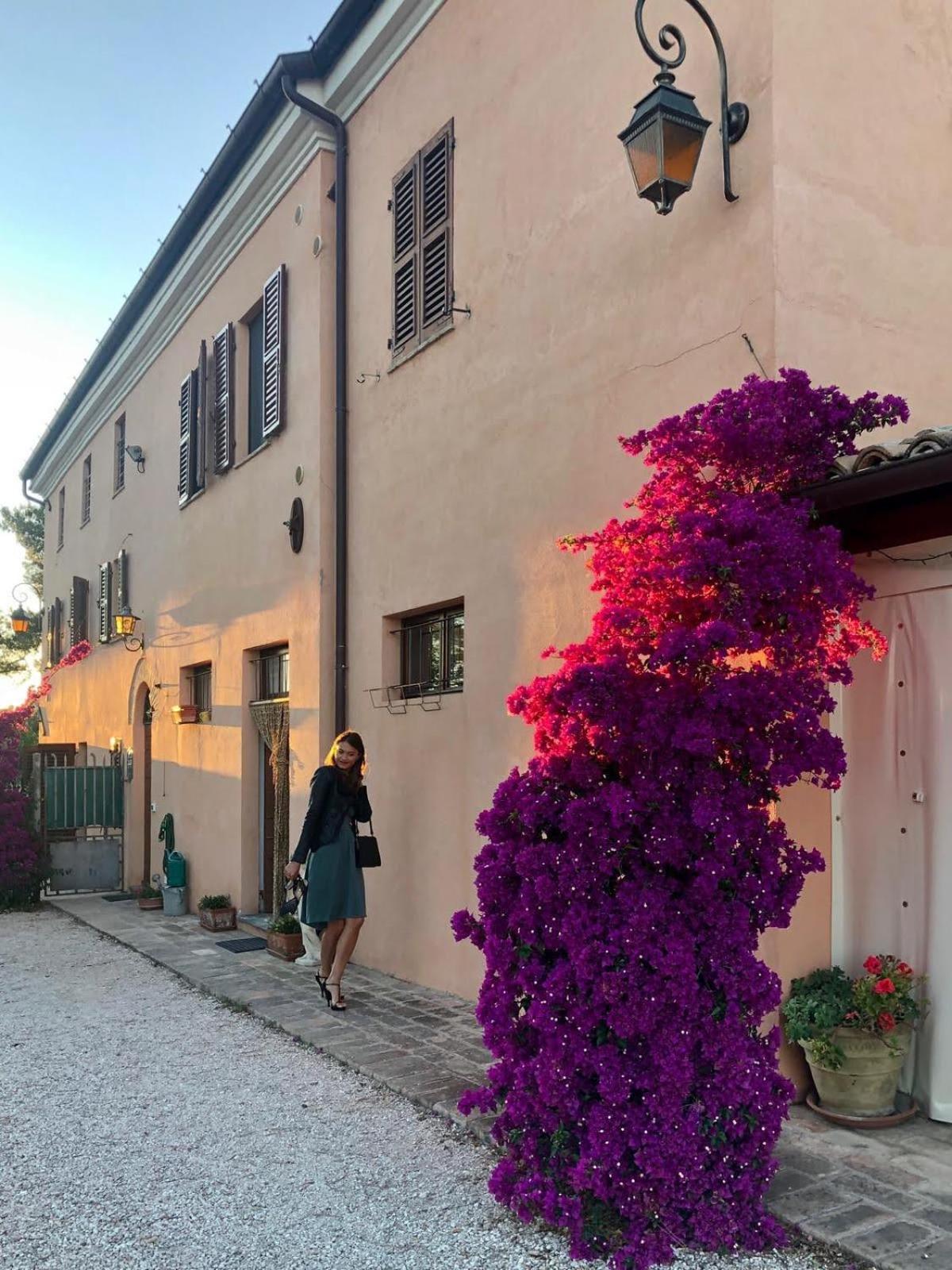 Fontebella Bed & Breakfast Montemarciano Dış mekan fotoğraf